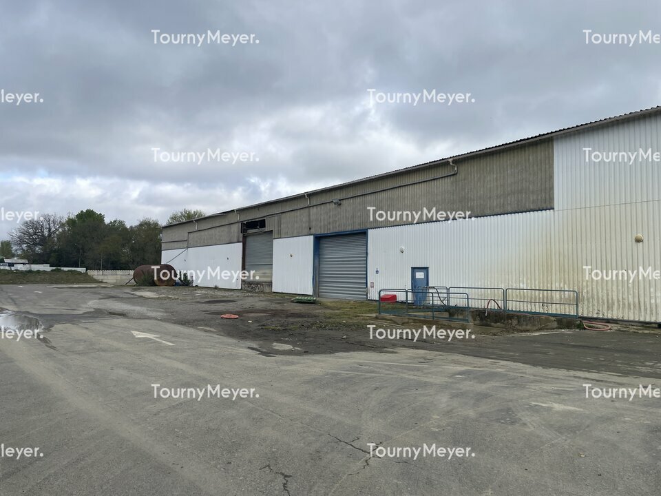 TOURNY MEYER TOULOUSE LOCATION-LOCAL D'ACTIVITE-ESCALQUENS-31