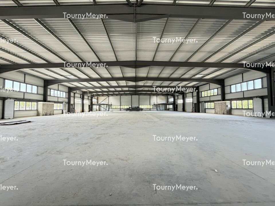 TOURNY MEYER TOULOUSE VENTE-LOCAL D'ACTIVITE-PORTET_SUR_GARONNE-31