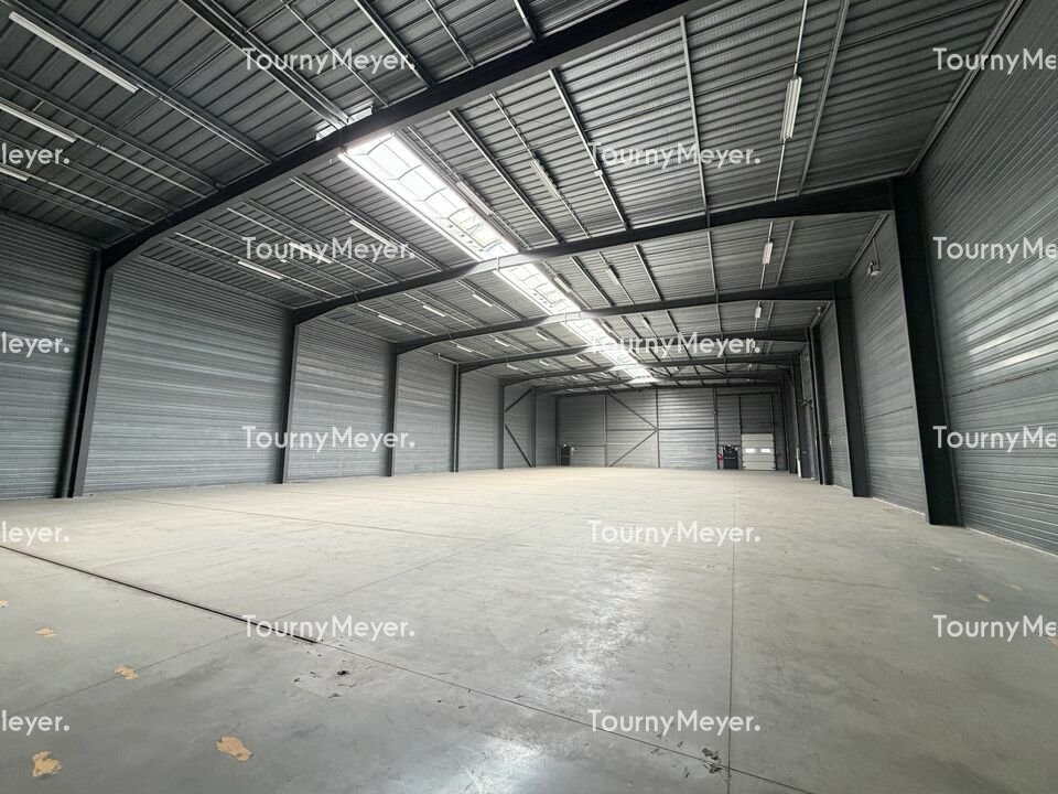 TOURNY MEYER TOULOUSE LOCATION-LOCAL D'ACTIVITE-QUINT_FONSEGRIVES-31