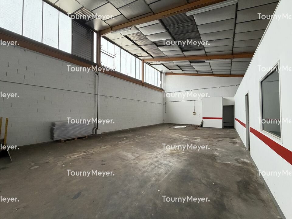 TOURNY MEYER TOULOUSE LOCATION-LOCAL D'ACTIVITE-MONTAUBAN-82