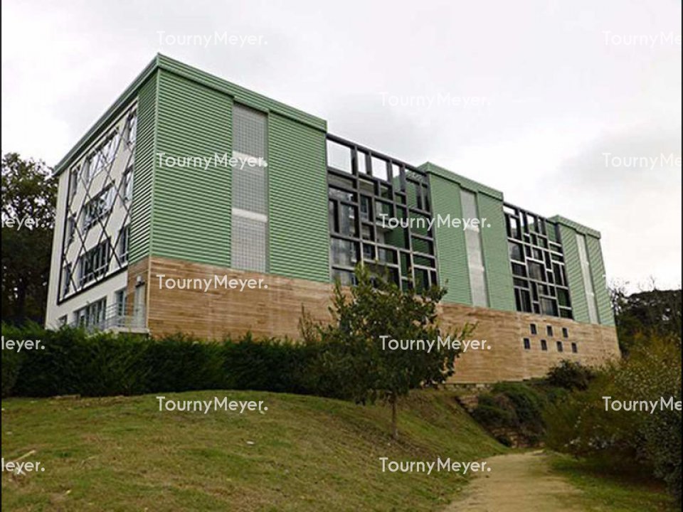 TOURNY MEYER TOULOUSE LOCATION-BUREAUX-TOULOUSE-31