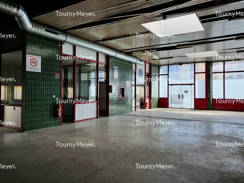 TOURNY MEYER TOULOUSE LOCATION-LOCAL D'ACTIVITE-TOULOUSE-31