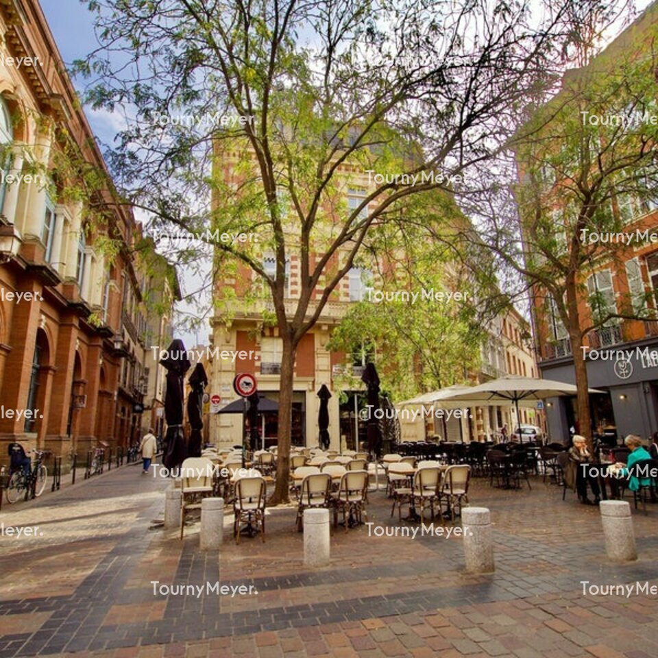 TOURNY MEYER TOULOUSE LOCATION-LOCAL COMMERCIAL-TOULOUSE-31