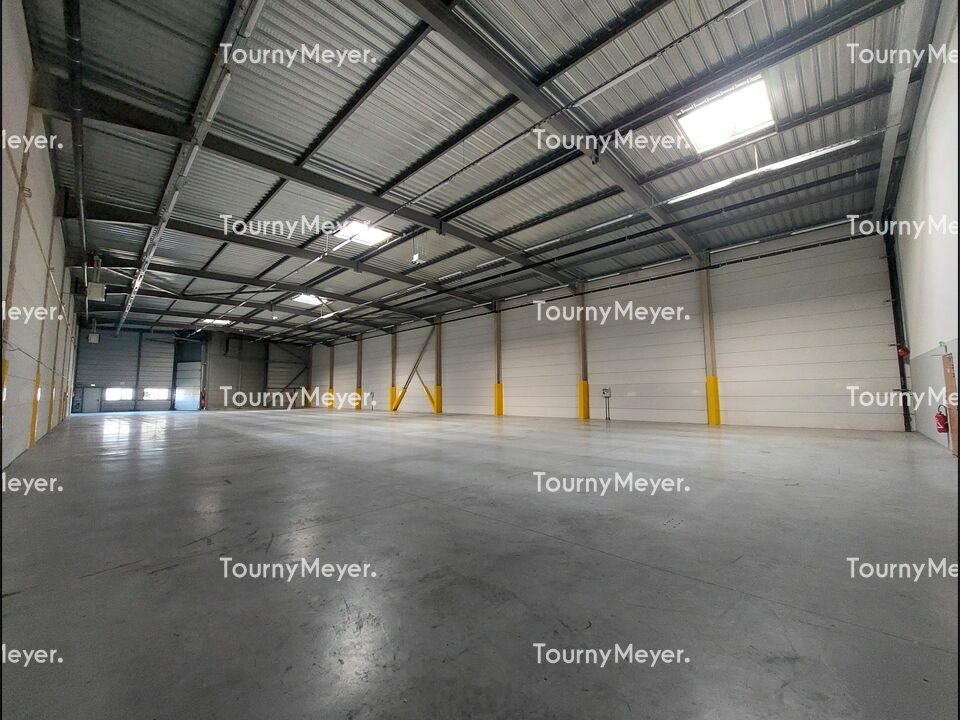 TOURNY MEYER TOULOUSE LOCATION-LOCAL D'ACTIVITE-TOULOUSE-31