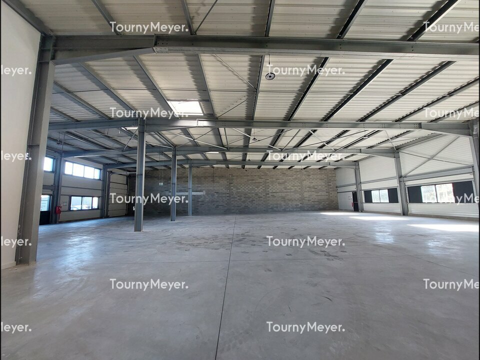 TOURNY MEYER TOULOUSE LOCATION-LOCAL D'ACTIVITE-PLAISANCE_DU_TOUCH-31