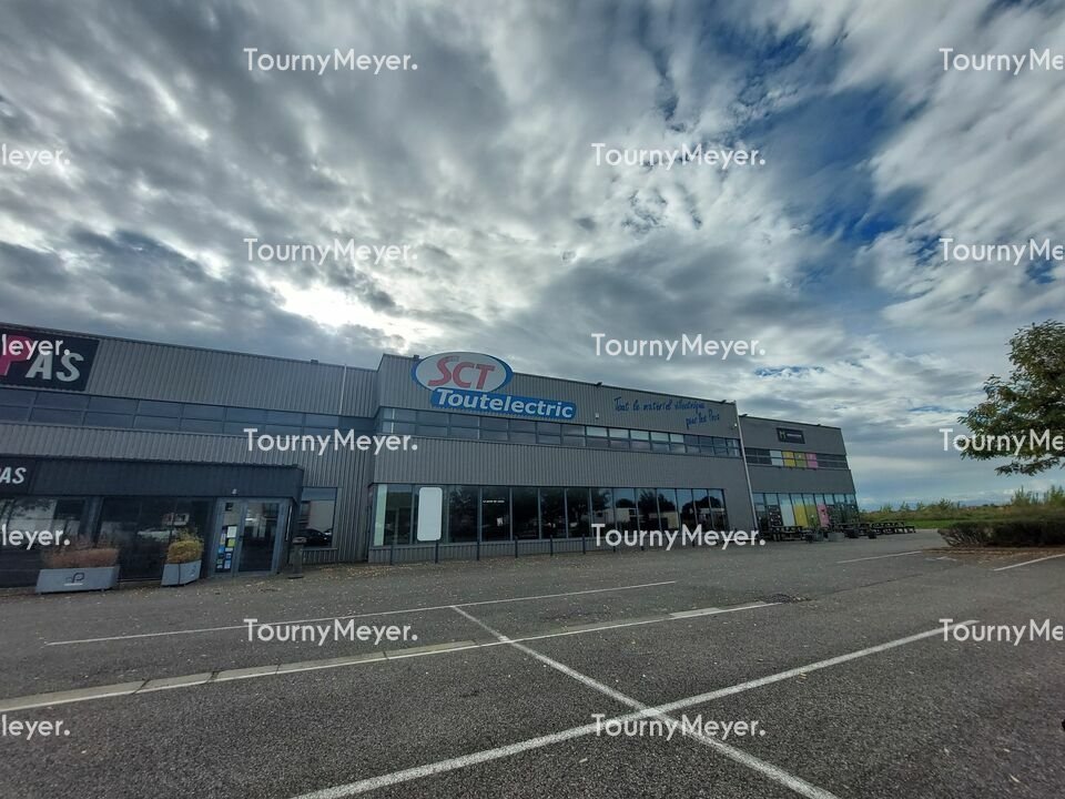 TOURNY MEYER TOULOUSE LOCATION-LOCAL D'ACTIVITE-PLAISANCE_DU_TOUCH-31