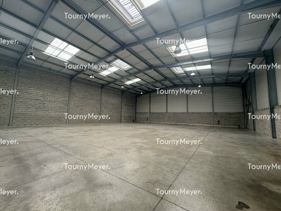 TOURNY MEYER TOULOUSE LOCATION-LOCAL D'ACTIVITE-TOULOUSE-31