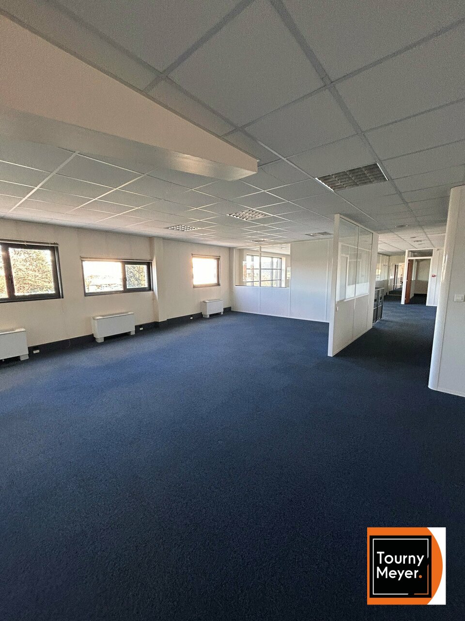 TOURNY MEYER TOULOUSE LOCATION-BUREAUX-TOULOUSE-31