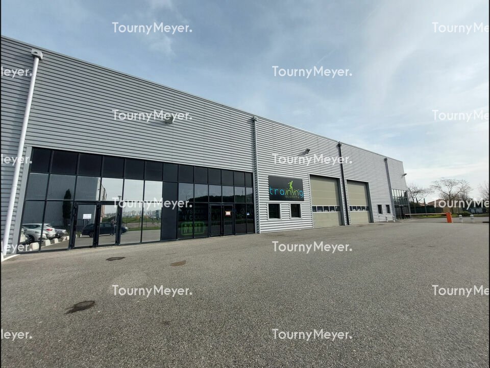 TOURNY MEYER TOULOUSE LOCATION-LOCAL D'ACTIVITE-TOULOUSE-31