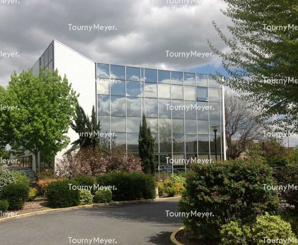 TOURNY MEYER TOULOUSE LOCATION-BUREAUX-TOULOUSE-31