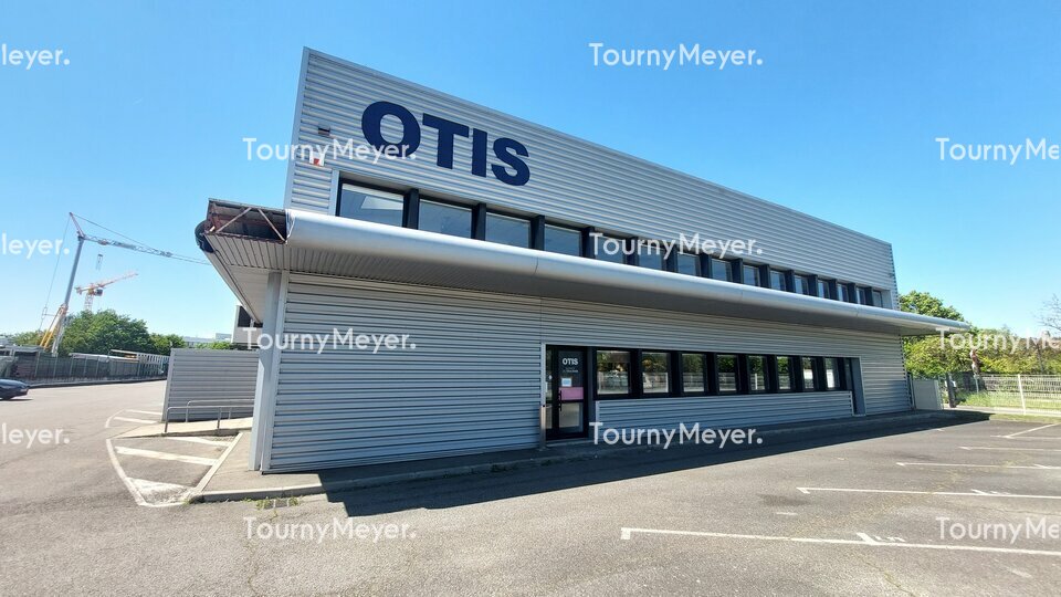 TOURNY MEYER TOULOUSE LOCATION-LOCAL D'ACTIVITE-TOULOUSE-31