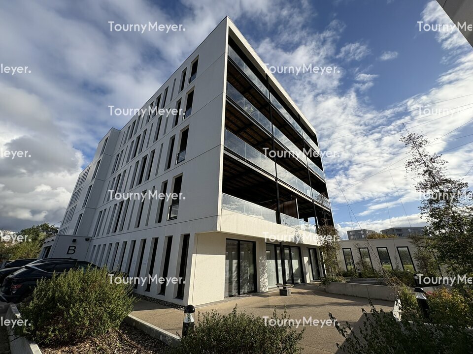TOURNY MEYER TOULOUSE LOCATION-BUREAUX-TOULOUSE-31