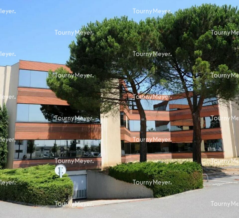 TOURNY MEYER TOULOUSE LOCATION-BUREAUX-BLAGNAC-31