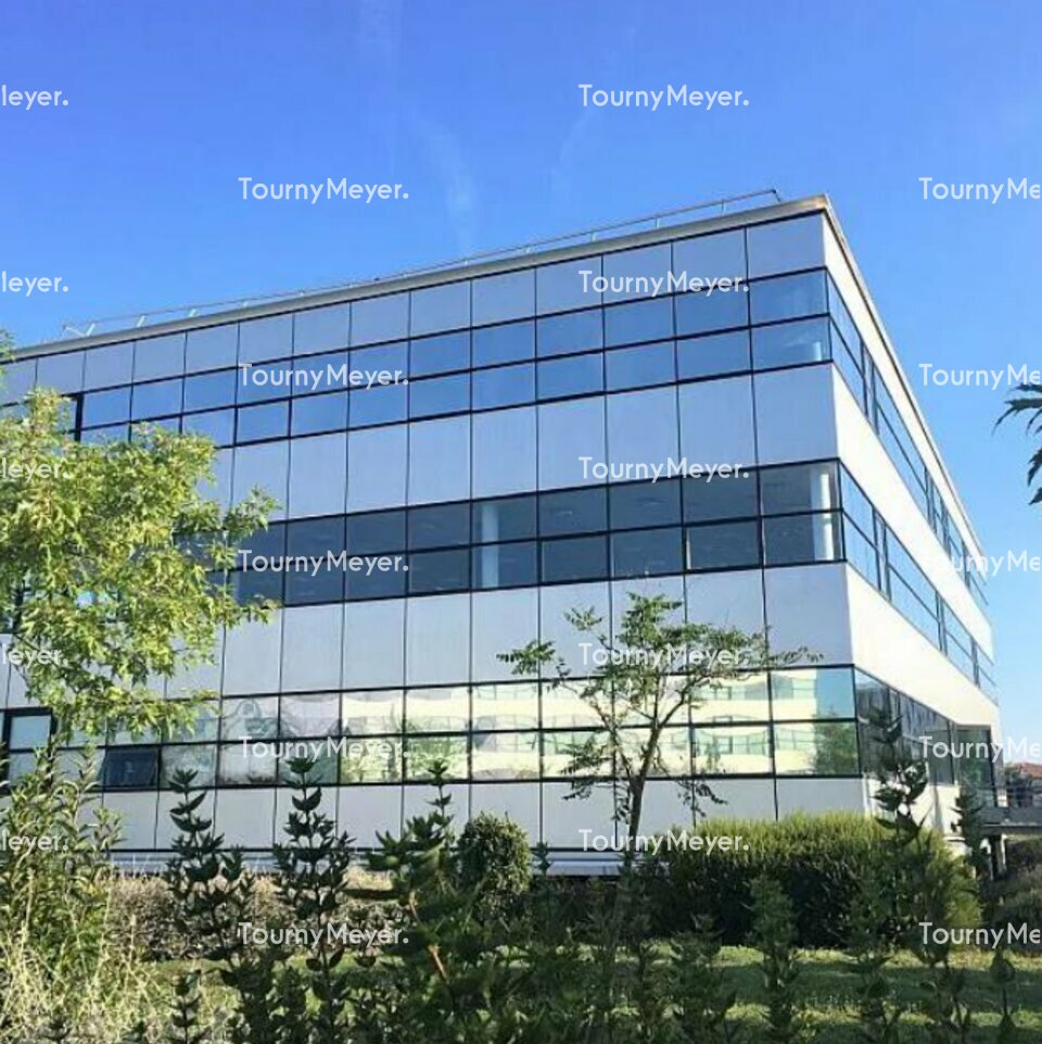 TOURNY MEYER TOULOUSE LOCATION-BUREAUX-TOULOUSE-31