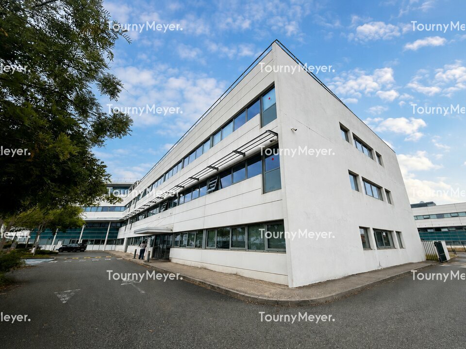 TOURNY MEYER TOULOUSE LOCATION-BUREAUX-TOULOUSE-31