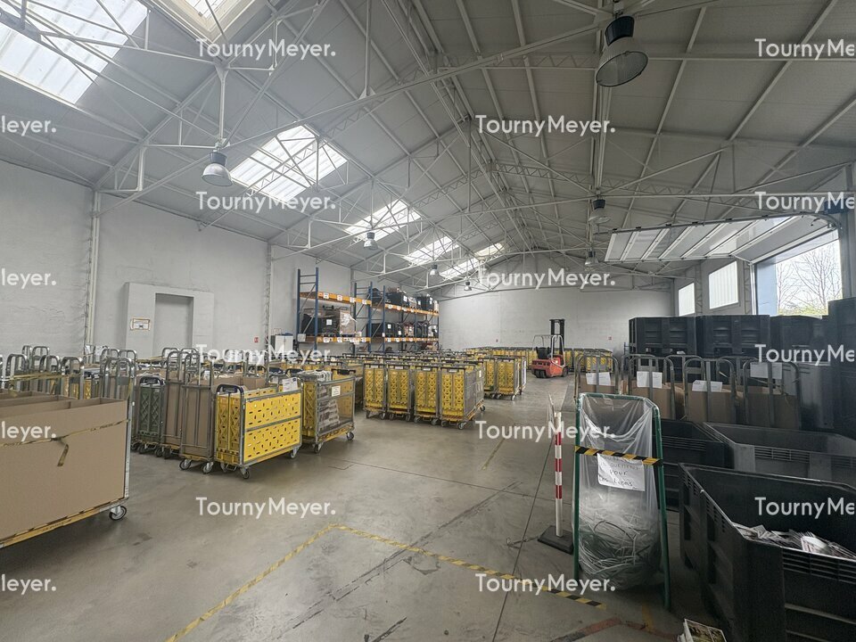 TOURNY MEYER TOULOUSE LOCATION-LOCAL D'ACTIVITE-TOULOUSE-31