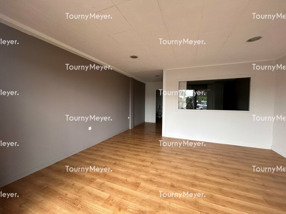 TOURNY MEYER TOULOUSE LOCATION-LOCAL COMMERCIAL-LAUNAGUET-31