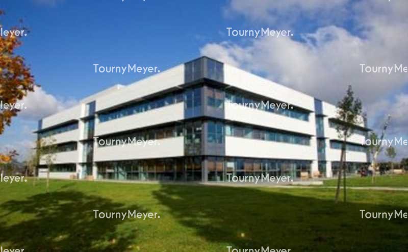 TOURNY MEYER TOULOUSE LOCATION-BUREAUX-TOULOUSE-31
