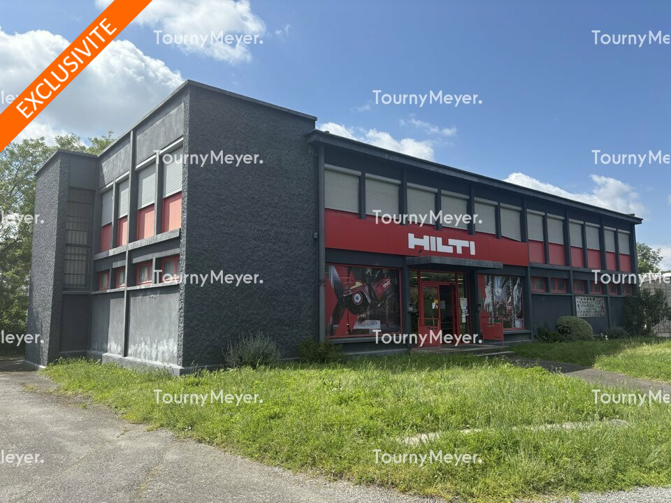 TOURNY MEYER TOULOUSE VENTE-LOCAL D'ACTIVITE-TOULOUSE-31