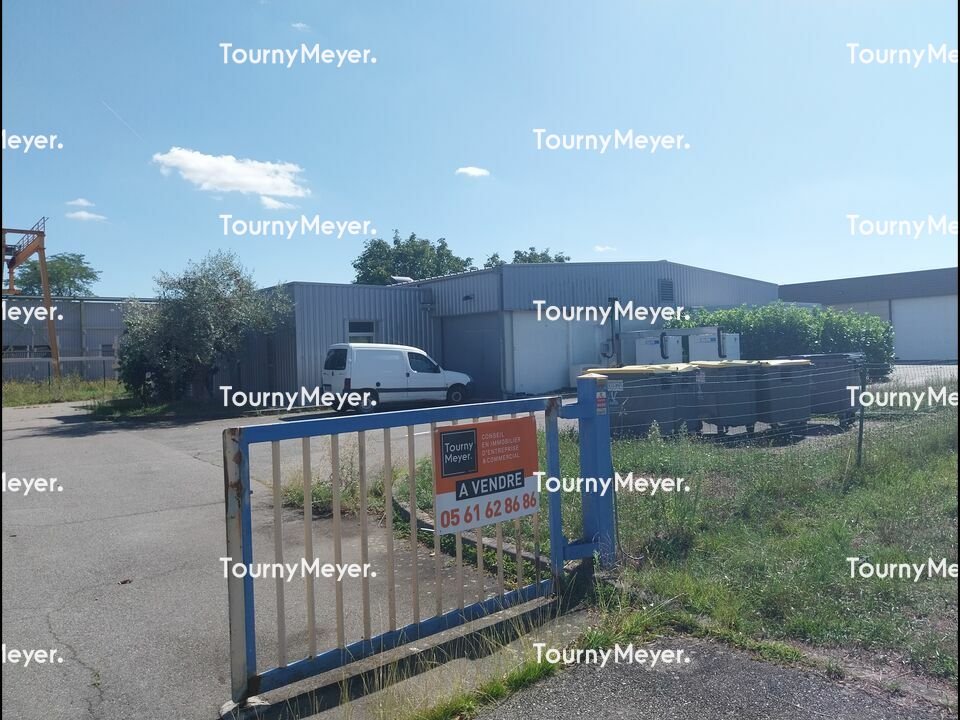 TOURNY MEYER TOULOUSE VENTE-LOCAL D'ACTIVITE-CARBONNE-31