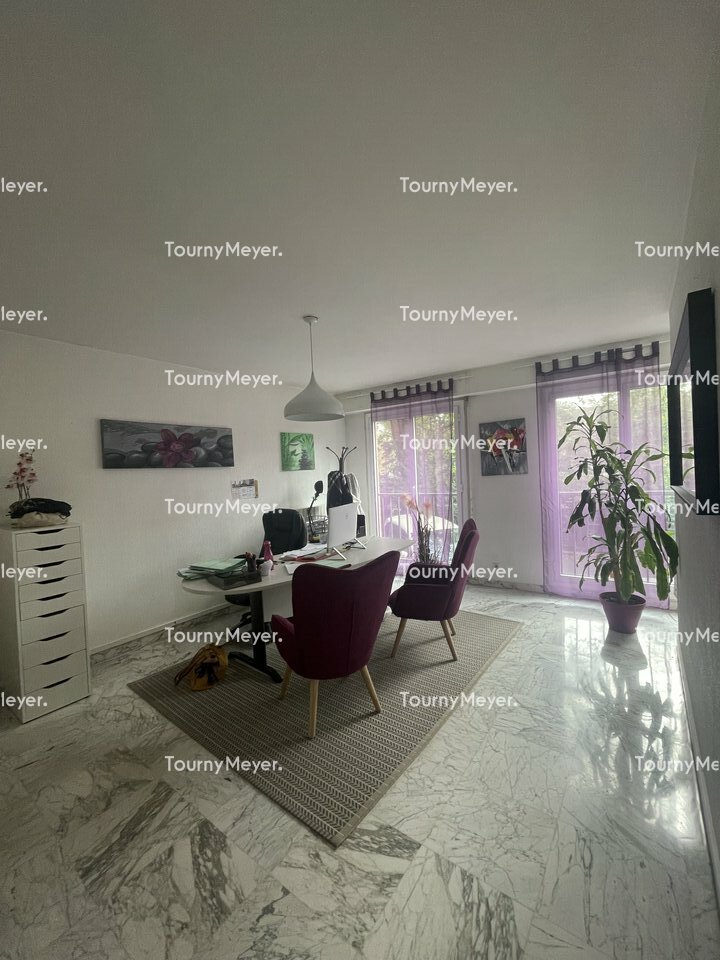 TOURNY MEYER TOULOUSE LOCATION-BUREAUX-TOULOUSE-31