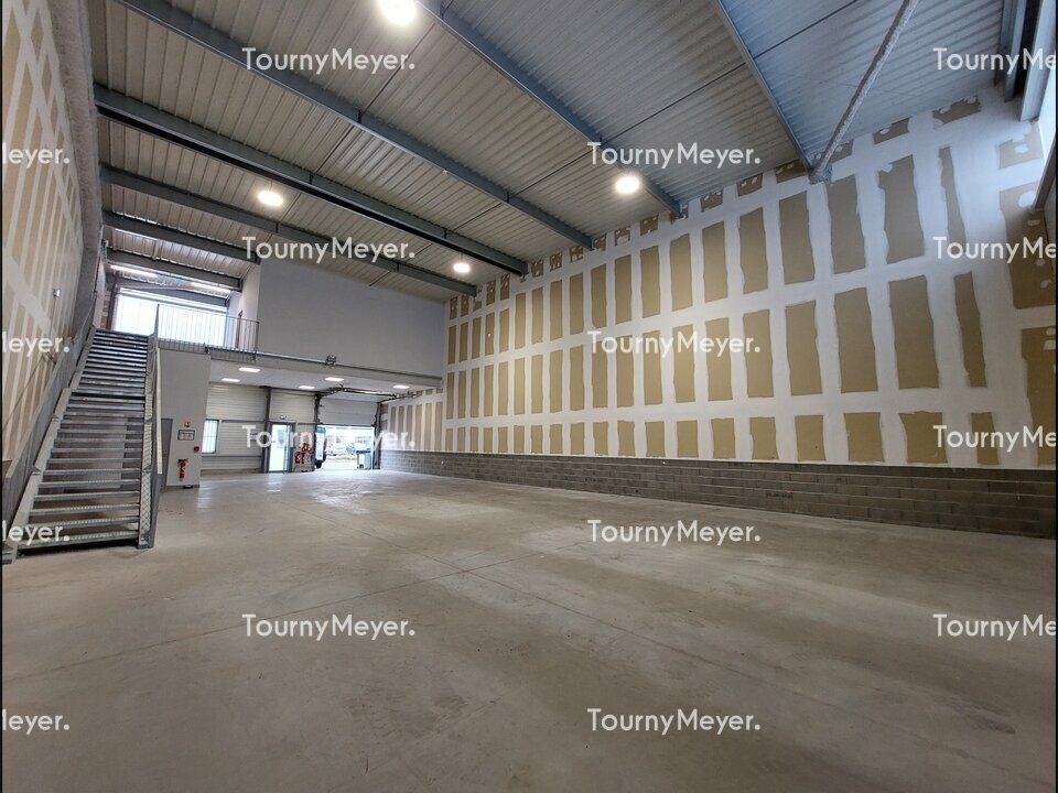 TOURNY MEYER TOULOUSE LOCATION-LOCAL D'ACTIVITE-ESCALQUENS-31