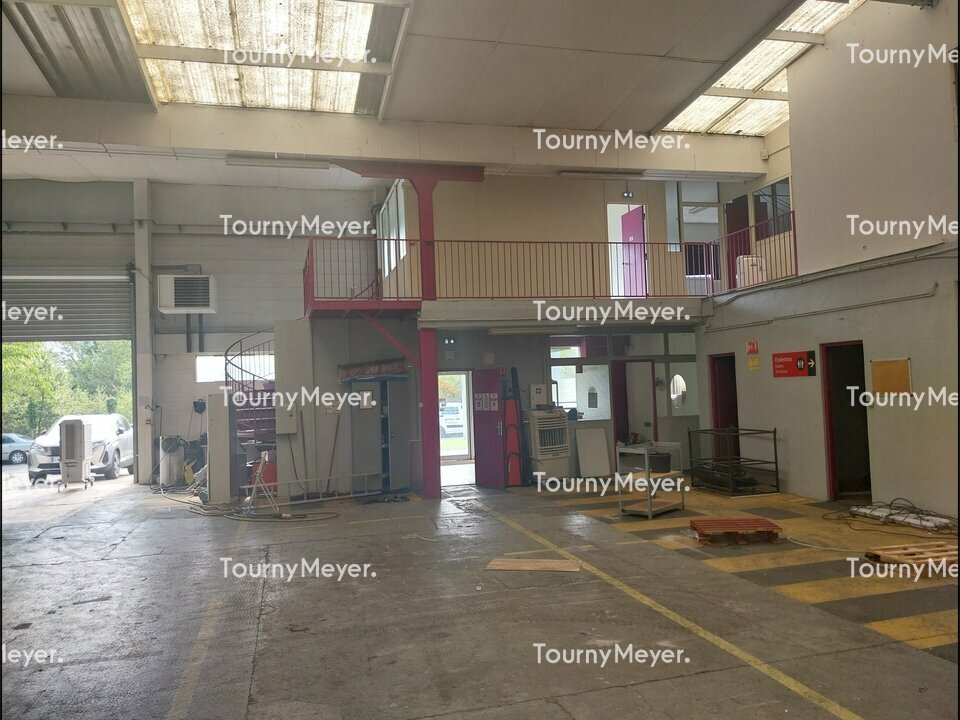 TOURNY MEYER TOULOUSE LOCATION-LOCAL D'ACTIVITE-TOULOUSE-31