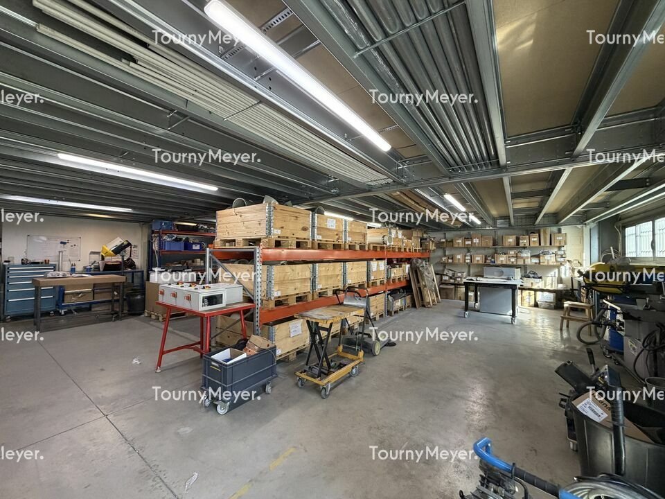 TOURNY MEYER TOULOUSE LOCATION-LOCAL D'ACTIVITE-MONTRABE-31
