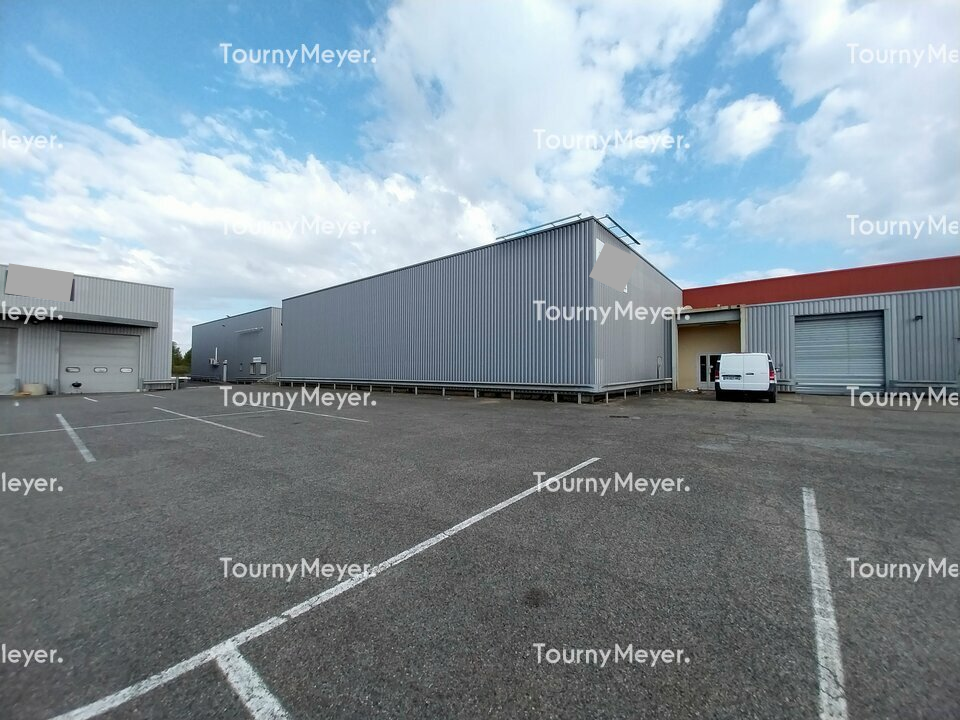 TOURNY MEYER TOULOUSE LOCATION-LOCAL D'ACTIVITE-MURET-31