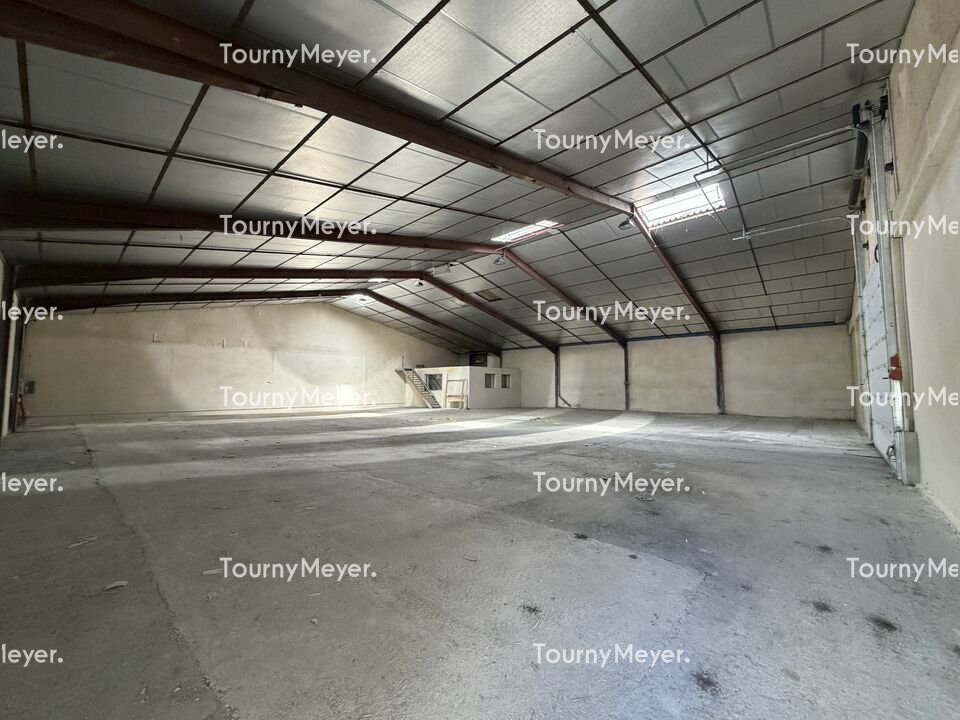 TOURNY MEYER TOULOUSE LOCATION-LOCAL D'ACTIVITE-ALBI-81