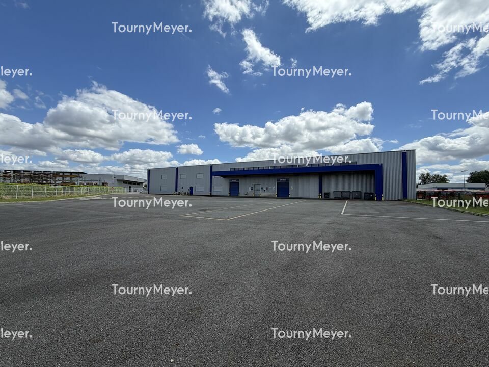 TOURNY MEYER TOULOUSE LOCATION-LOCAL D'ACTIVITE-ALBI-81