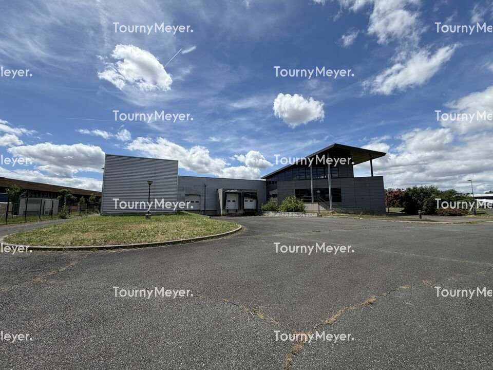 TOURNY MEYER TOULOUSE LOCATION-LOCAL D'ACTIVITE-TERSSAC-81