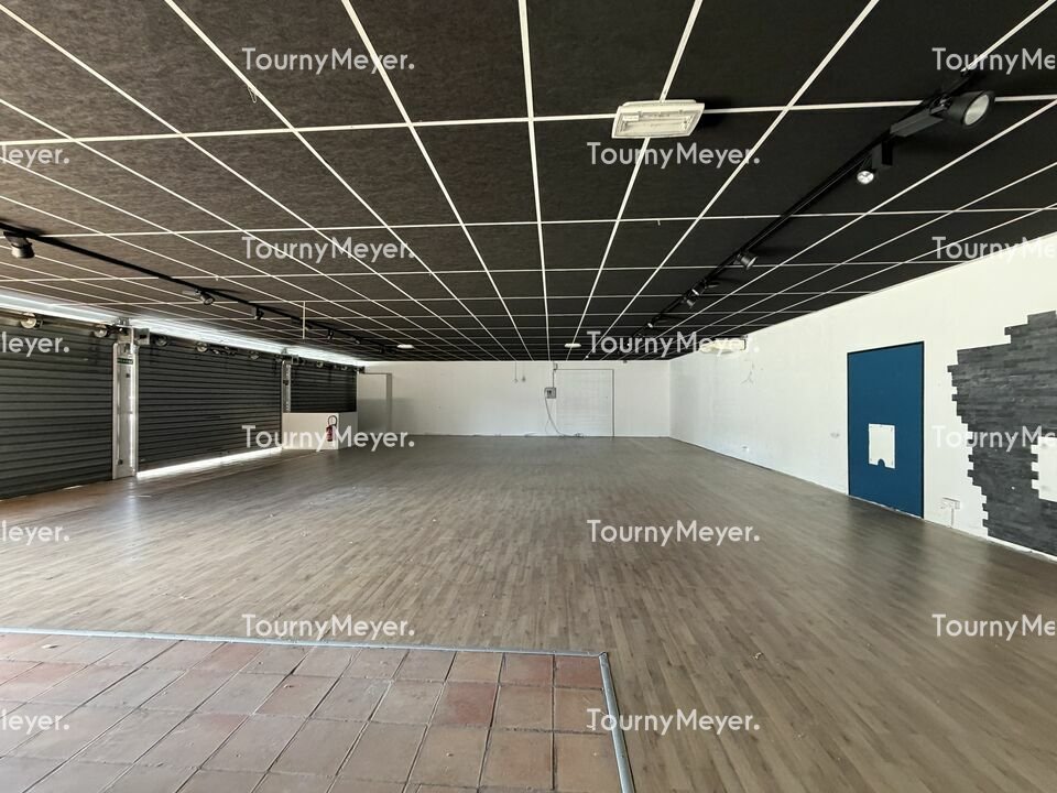 TOURNY MEYER TOULOUSE LOCATION-LOCAL COMMERCIAL-PUYGOUZON-81