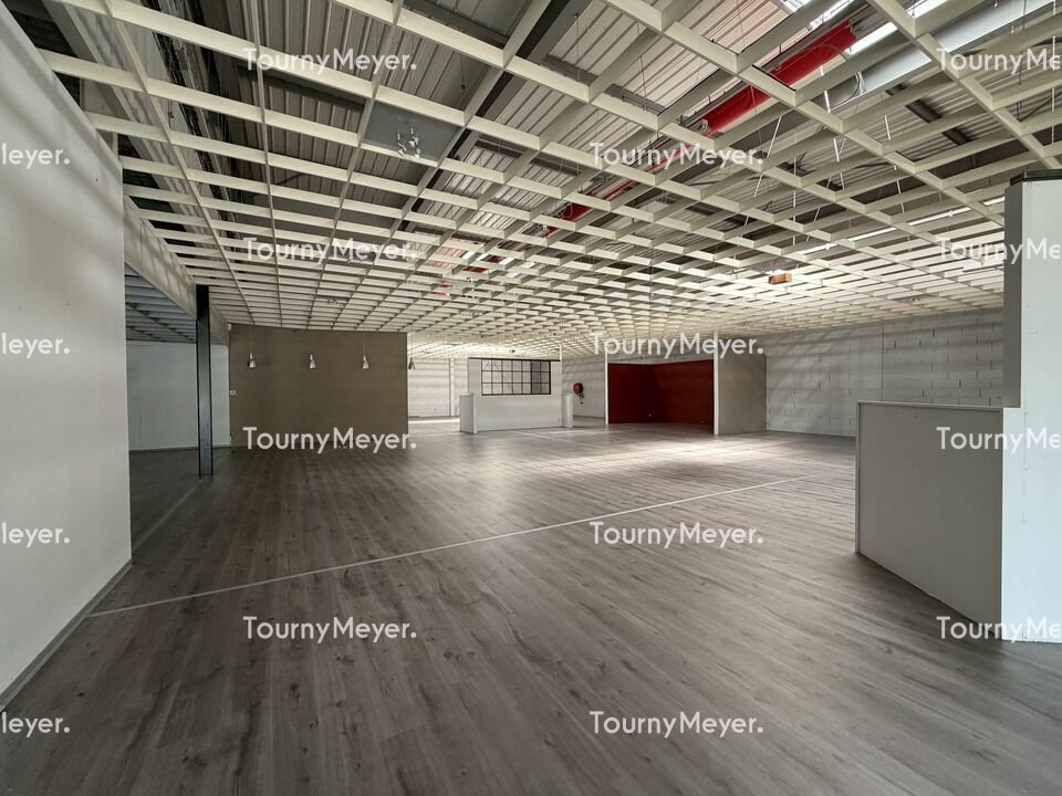 TOURNY MEYER TOULOUSE LOCATION-LOCAL COMMERCIAL-PUYGOUZON-81