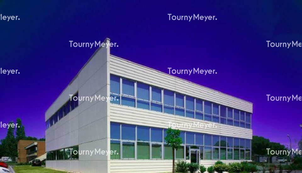 TOURNY MEYER TOULOUSE LOCATION-BUREAUX-TOULOUSE-31