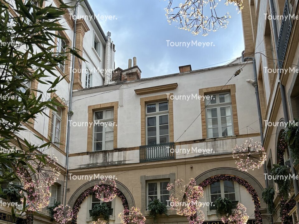 TOURNY MEYER TOULOUSE LOCATION-BUREAUX-TOULOUSE-31