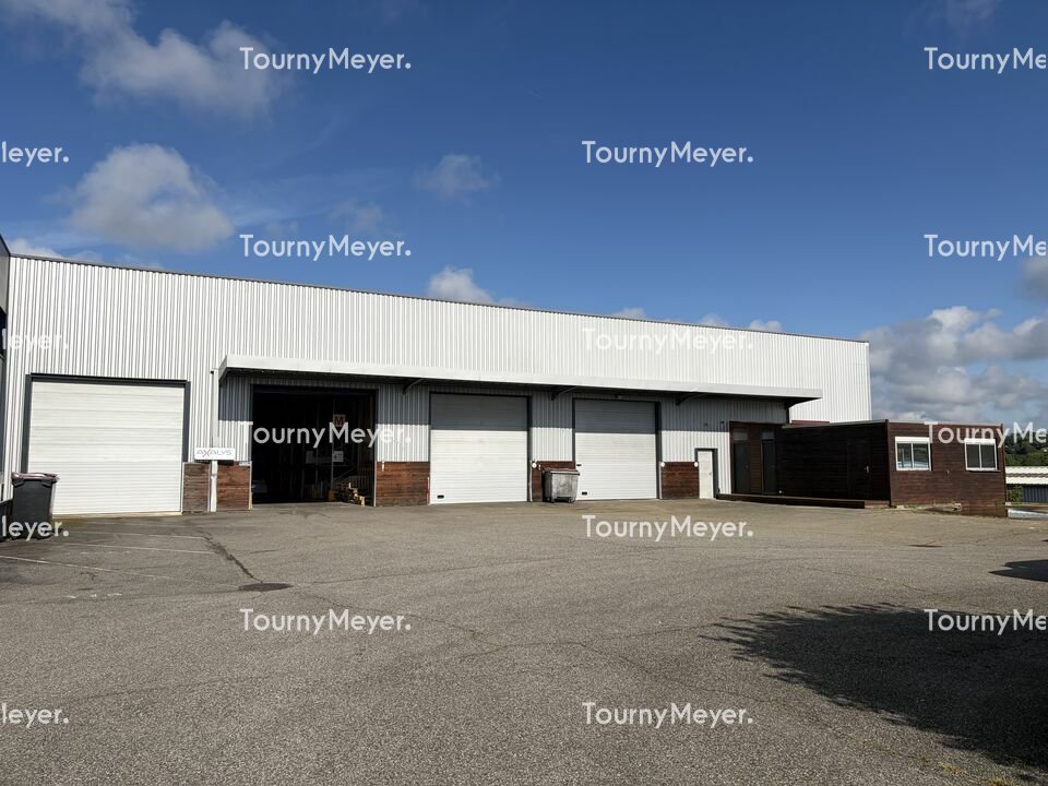 TOURNY MEYER TOULOUSE LOCATION-LOCAL D'ACTIVITE-MONDOUZIL-31
