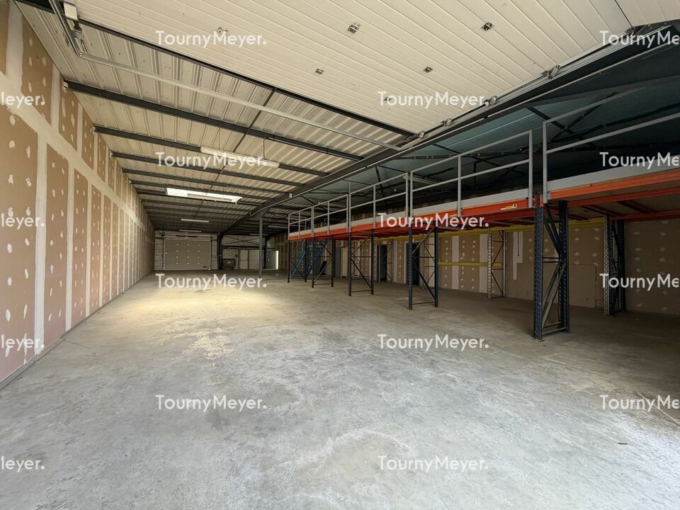TOURNY MEYER TOULOUSE VENTE-LOCAL D'ACTIVITE-MONDOUZIL-31