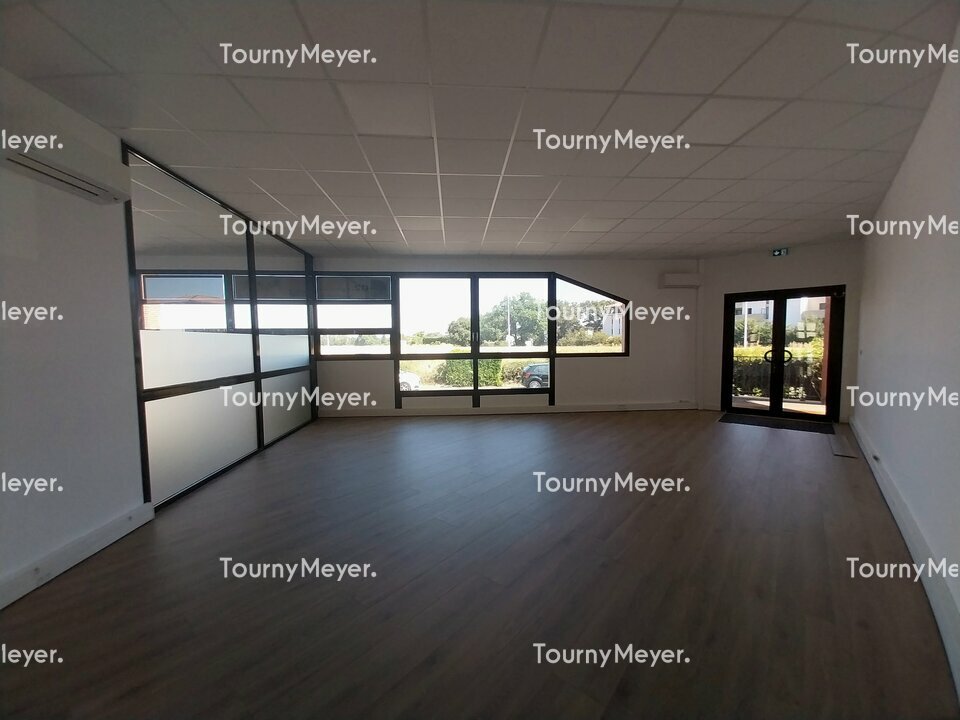 TOURNY MEYER TOULOUSE LOCATION-BUREAUX-BALMA-31
