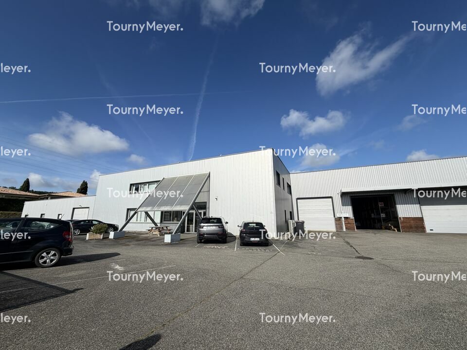 TOURNY MEYER TOULOUSE VENTE-LOCAL D'ACTIVITE-MONDOUZIL-31