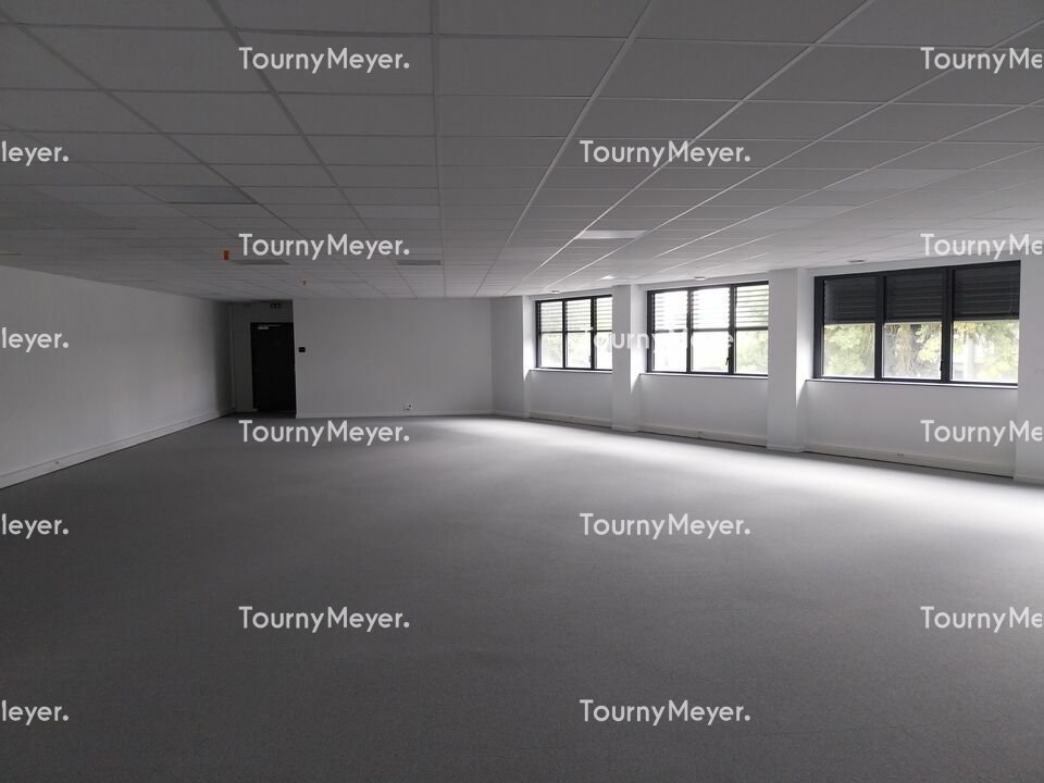 TOURNY MEYER TOULOUSE LOCATION-BUREAUX-LABEGE-31