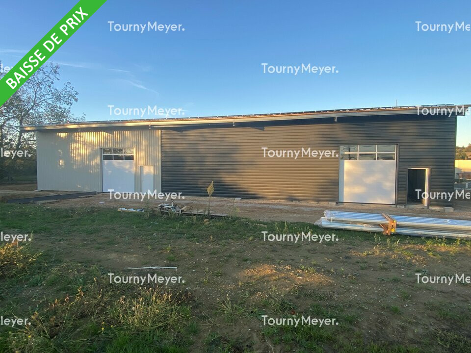 TOURNY MEYER TOULOUSE LOCATION-LOCAL D'ACTIVITE-GARIDECH-31