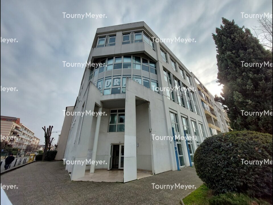 TOURNY MEYER TOULOUSE LOCATION-BUREAUX-TOULOUSE-31