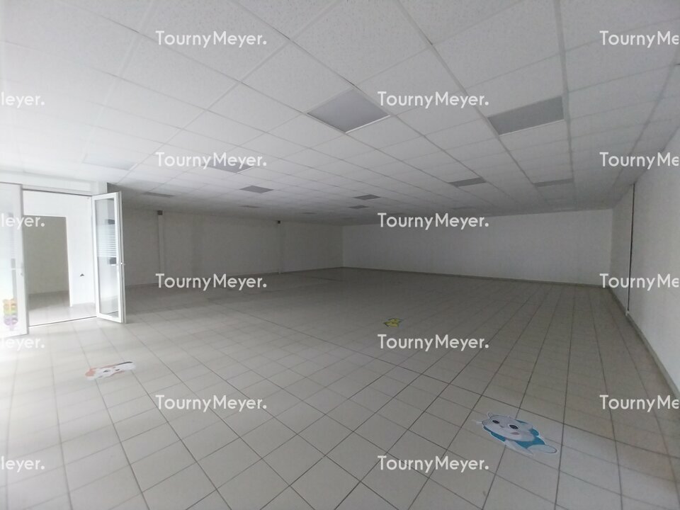 TOURNY MEYER TOULOUSE LOCATION-LOCAL D'ACTIVITE-LABEGE-31