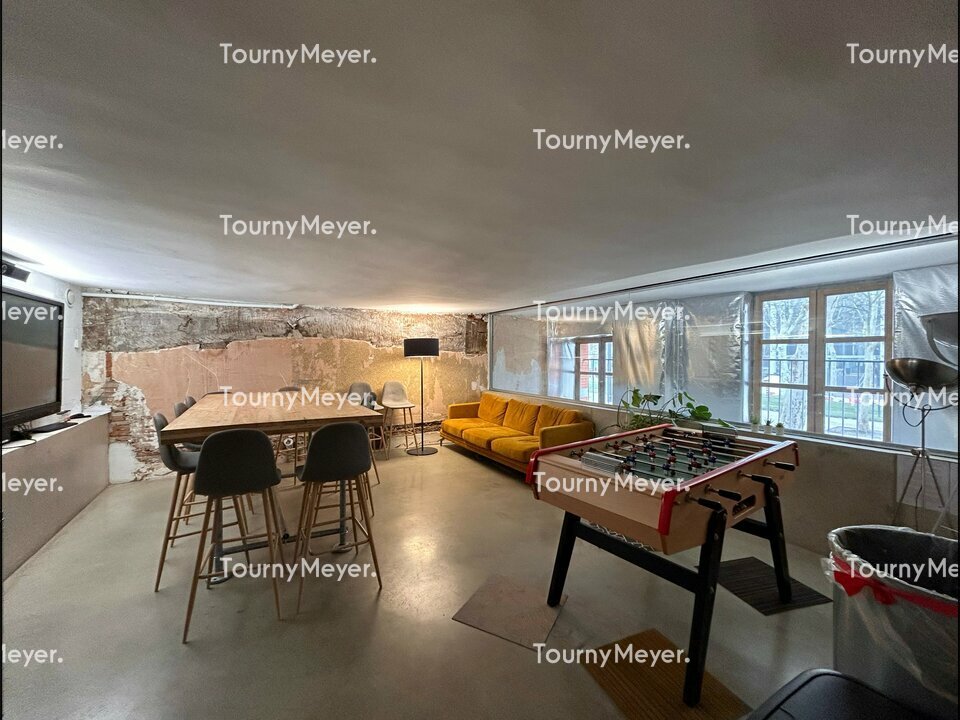TOURNY MEYER TOULOUSE LOCATION-BUREAUX-TOULOUSE-31
