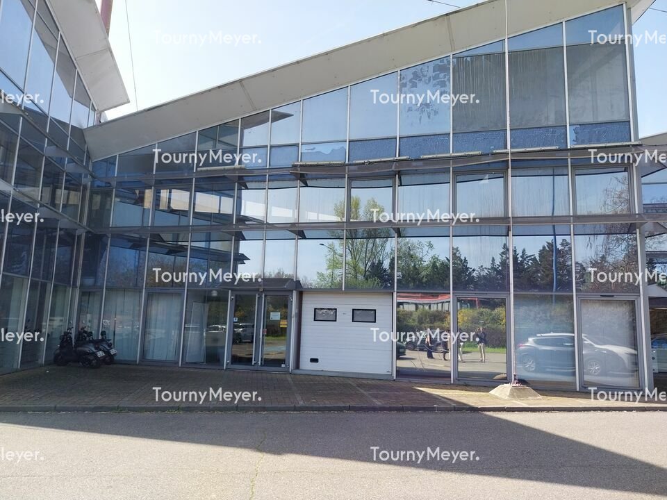 TOURNY MEYER TOULOUSE LOCATION-LOCAL D'ACTIVITE-TOULOUSE-31