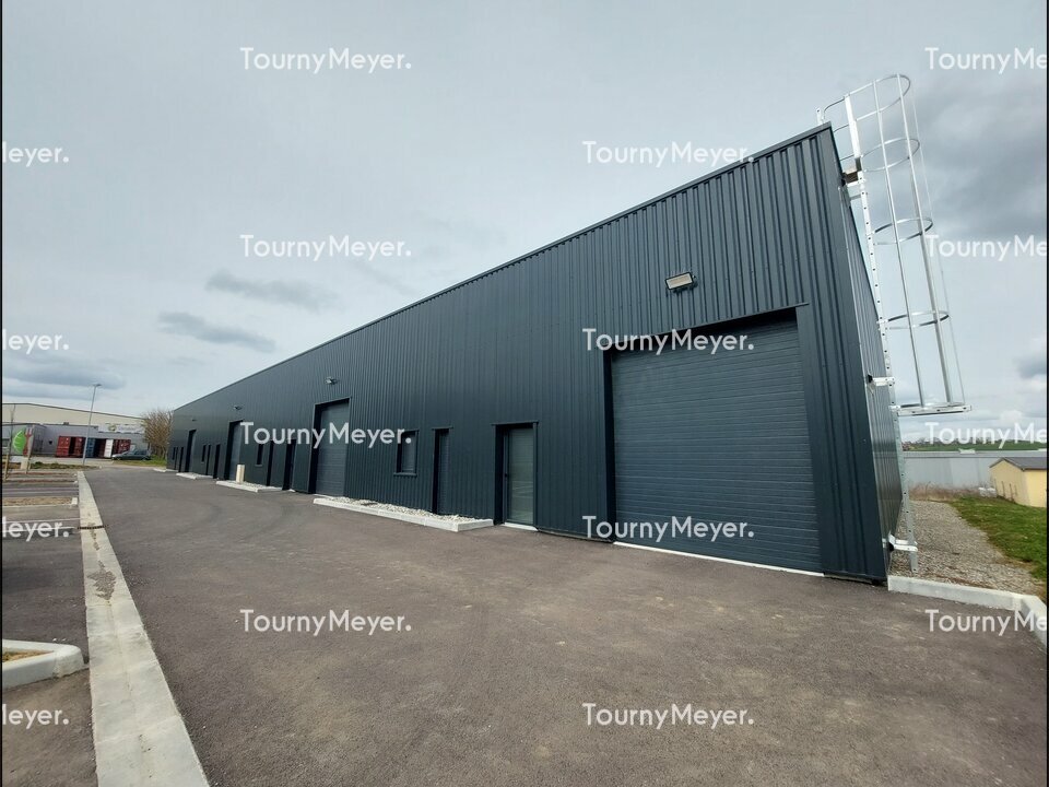 TOURNY MEYER TOULOUSE LOCATION-LOCAL D'ACTIVITE-SAINTE_FOY_D'AIGREFEUILLE-31