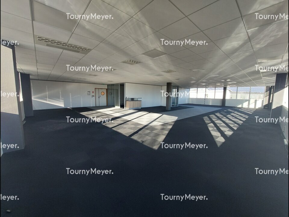 TOURNY MEYER TOULOUSE LOCATION-BUREAUX-LABEGE-31