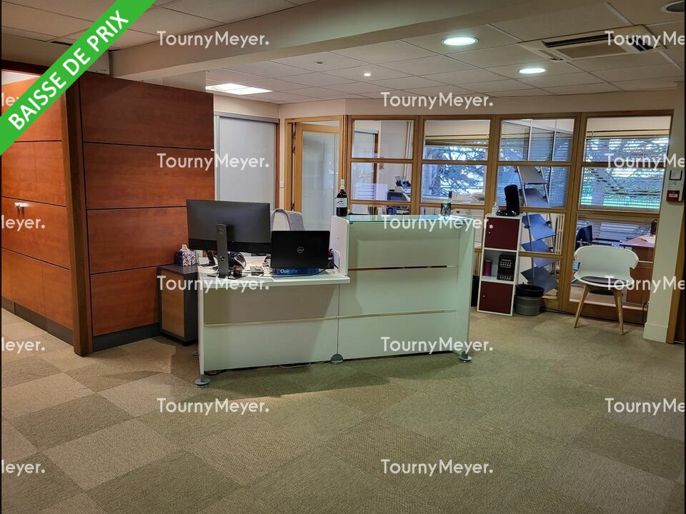 TOURNY MEYER TOULOUSE VENTE-BUREAUX-TOULOUSE-31