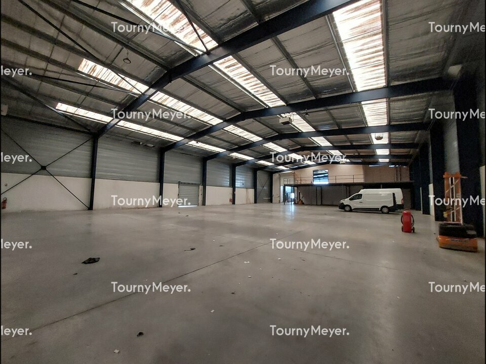 TOURNY MEYER TOULOUSE LOCATION-LOCAL D'ACTIVITE-RAMONVILLE_SAINT_AGNE-31